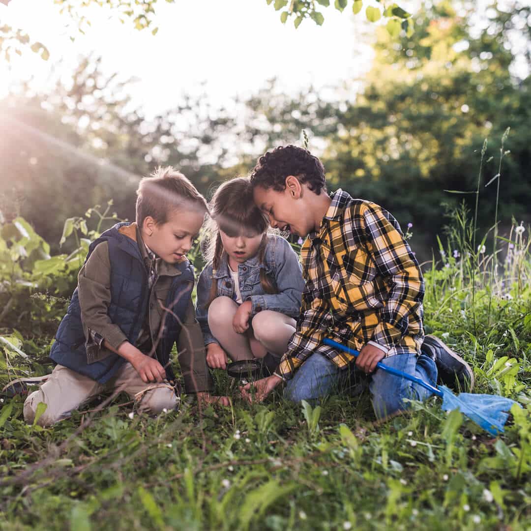 Kinder entdecken gemeinsam die Natur und erforschen ihre Umgebung. Waldtage bei KiMi Krippen bieten diesen Rahmen.