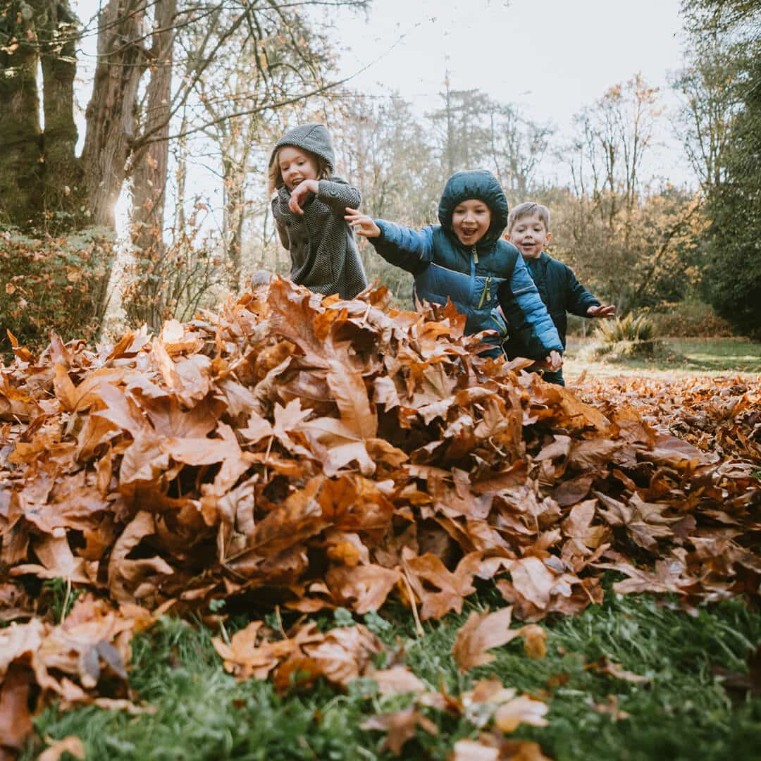 Kinder laufen auf einen Haufen Laub zu und fühlen das Rascheln der Blätter. Gemeinsam in der Natur zu spielen fördert die Sozialkompetenz. Waldtage bei Kimi Krippen bieten diesen Rahmen.