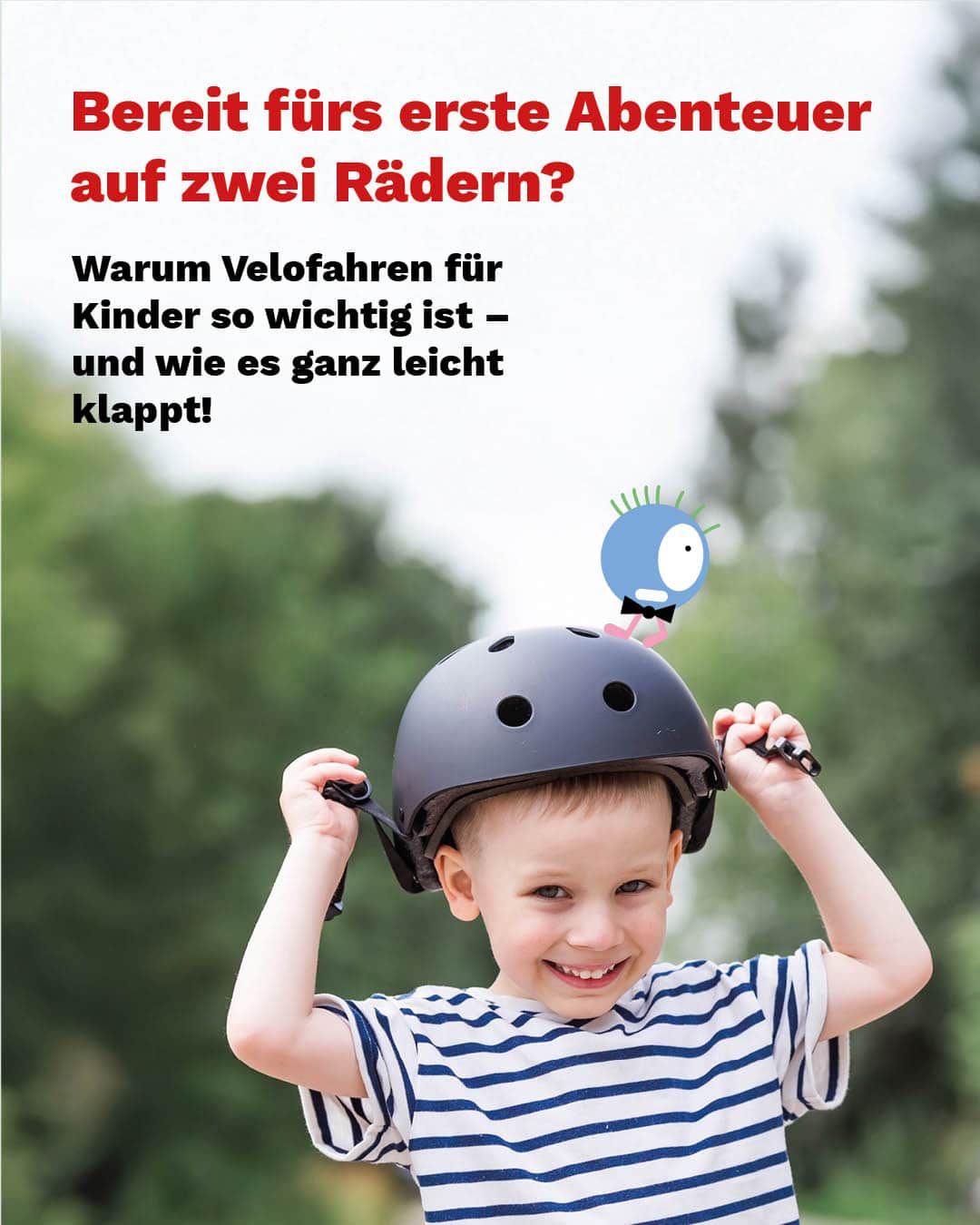 SiechCycles